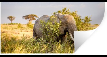 Muurstickers - Sticker Folie - Olifant - Dieren - Gras - Groen - Berg - 40x20 cm - Plakfolie - Muurstickers Kinderkamer - Zelfklevend Behang - Zelfklevend behangpapier - Stickerfolie