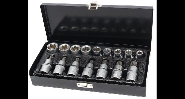 16 Delige 1/2" Inwendige en Uitwendige Torx Doppenset