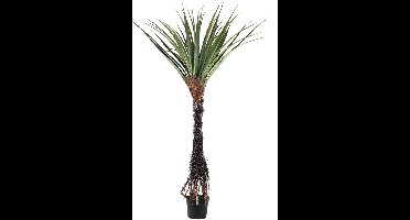 PTMD Kunstplant Pandanus - 140x140x210 cm - Polyester - Groen