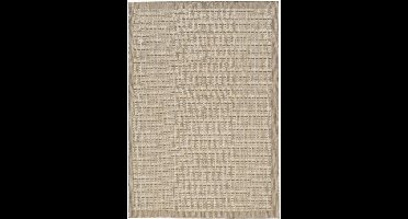 Giza Vloerkleed – Beige met Kader – Laagpolig & Modern – Voor Binnen & Buiten – 280x370 cm