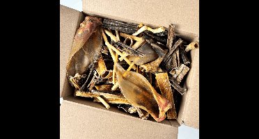 Pawty Snackbox | Diverse 100% Natuurlijke Gedroogde Hondensnacks