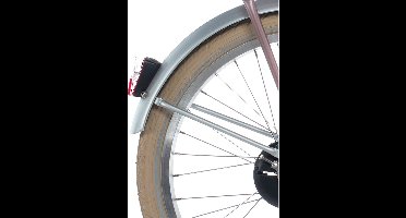 Alpina Spatbord set + stang 20 Cargo silver matt