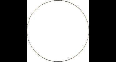Opry Dromenvanger ring roestvrij staal 15cm
