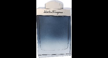 Salvatore Ferragamo Subtil Pour Homme Eau de Toilette 100ml Spray