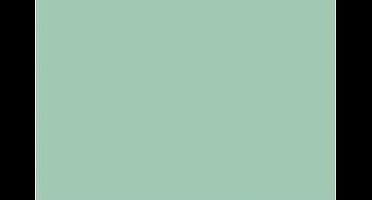 Tekenpapier Folia A4 mint- - groen 130grs pak 100 vel