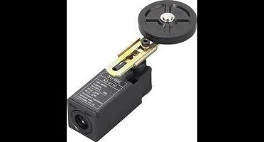 TRU COMPONENTS XZ-9/110 Eindschakelaar 250 V/AC 10 A Zwenkbare rolhendel Moment IP65 1 stuk(s)