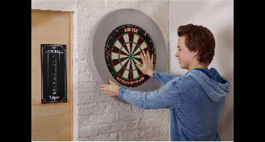 Viper Guardian Dartbord Surround Grijs
