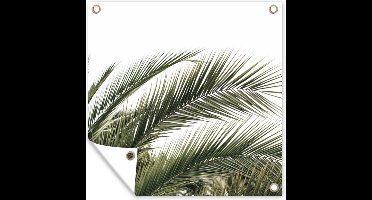 GreatGardenPosters - Tuindecoratie - Bladeren - Palmboom - Natuur - Zomer - 100x100 cm - Tuinposter - Muurdecoratie - Wanddecoratie - Tuindoek - Buitenposter