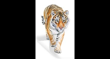 Muurstickers - Sticker Folie - Tijger - Ogen - Geel - 20x30 cm - Plakfolie - Muurstickers Kinderkamer - Zelfklevend Behang - Zelfklevend behangpapier - Stickerfolie