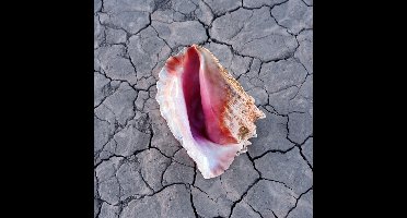 The Killers - Wonderful Wonderful (CD) (Deluxe Edition)