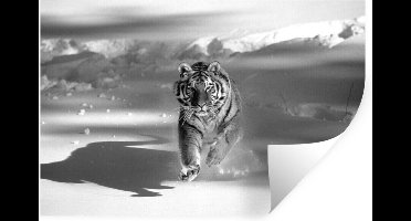 Muurstickers - Sticker Folie - Tijger - Jacht - Sneeuw - Zwart - Wit - 30x20 cm - Plakfolie - Muurstickers Kinderkamer - Zelfklevend Behang - Zelfklevend behangpapier - Stickerfolie