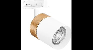 LEDVANCE TRACKLIGHT railsysteem armatuurkop, goud/wit
