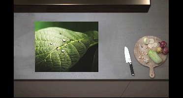 Inductieplaat Beschermer - Waterdruppels op Nerven van Groen Blad - 60x52 cm - 2 mm Dik - Inductie Beschermer van Vinyl