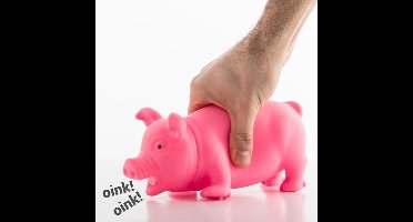 Varkentje met Geluid