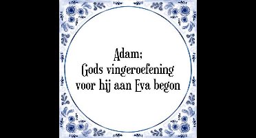 Tegeltje met Spreuk (Tegeltjeswijsheid): Adam; Gods vingeroefening voor hij aan Eva begon + Kado verpakking & Plakhanger