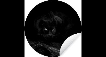 WallCircle - Muurstickers - Behangcirkel - Panter - Boomstam - Zwart - zwart wit - ⌀ 30 cm - Muurcirkel - Zelfklevend - Ronde Behangsticker