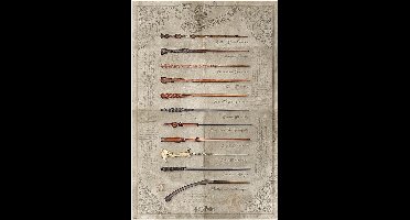 Harry Potter - The Wand Chooses the Wizard