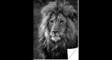 Poster Portret van de Leeuwenkoning - zwart wit - 30x40 cm