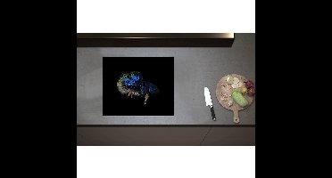 Inductieplaat Beschermer - Blauwe Vis op Zwart Oppervlak - 60x50 cm - 2 mm Dik - Inductie Beschermer - Bescherming Inductiekookplaat - Kookplaat Beschermer van Wit Vinyl