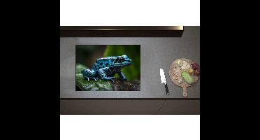 Inductieplaat Beschermer - Blauwe zwart gestipte gif kikker zit op blad - 70x50 cm - 2 mm Dik - Inductie Beschermer - Bescherming Inductiekookplaat - Kookplaat Beschermer van Wit Vinyl