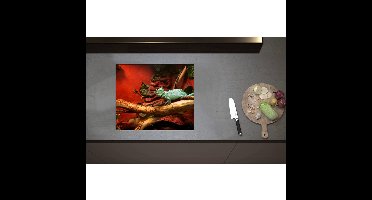Inductieplaat Beschermer - Blauwe Hagedis op Tak in Verblijf - 59x50 cm - 2 mm Dik - Inductie Beschermer - Bescherming Inductiekookplaat - Kookplaat Beschermer van Zwart Vinyl