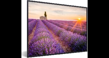 PosterMonkey - Poster - Fotolijst - Lavendel - Bloemen - Zonsondergang - Natuur - Kader - Foto in lijst - 80x60 cm - Poster kader - Poster lavendel - Foto lijst - Woondecoratie