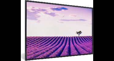 PosterMonkey - Poster - Fotolijst - Lavendel - Boom - Lucht - Paars - Bloemen - Posters - Poster kader - Frame - 30x20 cm - Poster frame - Foto in lijst - Poster lavendel