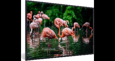 PosterMonkey - Poster - Fotolijst - Vogel - Water - Flamingo - Tropical - Dieren - 30x20 cm - Poster in lijst - Poster flamingo - Foto met lijst - Poster met kader