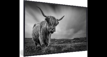 PosterMonkey - Poster - Fotolijst - Schotse hooglander - Natuur - Koe - Zwart wit - Kader - 120x80 cm - Poster zwart wit - Foto in lijst - Poster Schotse hooglander - Poster frame