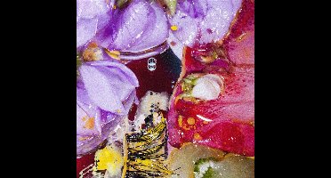 Virginia Wing - Forward Constant Motion (LP)