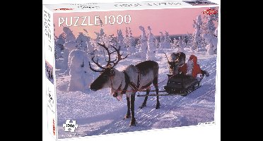 Santa Claus in Sleigh - 1000 stukjes