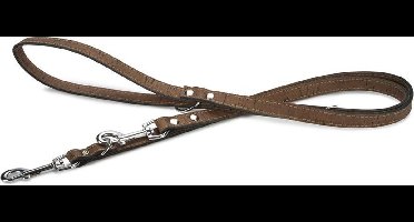 Beeztees leren dressuurlijn Cork. Bruin. 200 cm x 18 mm.