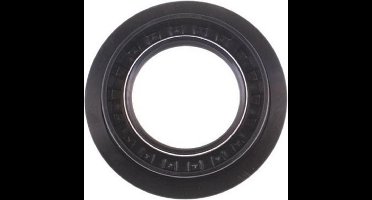 BOSCH - SIMMERRING 41.8X62/78X10/15.5