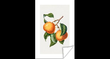 Poster Eten - Sinaasappel - Fruit - 20x30 cm