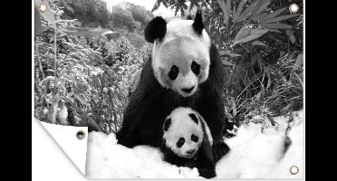 Tuinposter - Tuindoek - Tuinposters buiten - Moeder panda en welp in de winter - zwart wit - 120x80 cm - Tuin