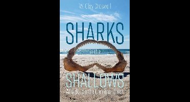 Sharks in the Shallows