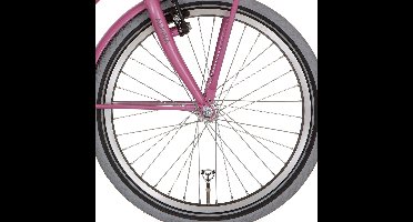 Alpina Voorwiel 22 HLQ-10A-1 black zink spk