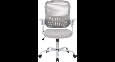 ApexArte® Ergonomische Bureaustoel - Bureaustoelen voor Volwassenen en Kinderen - Gaming Stoel - Chair - Grijs