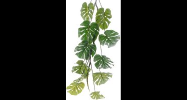 Everlands Monstera/gatenplant kunstplant slinger - 180 cm - groen