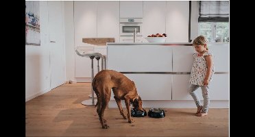 Voerbak voor honden Hunter Kimberley Melamine Roestvrij staal Wit Driehoekig (17,5 x 17,5 x 4,5 cm)