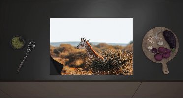 Inductieplaat Beschermer - Kop van Giraffe boven Droge Boomtoppen in Afrika - 70x52 cm - 2 mm Dik - Inductie Beschermer met zwarte kern