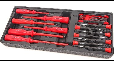 HBM 22 Delige Schroevendraaierset Inlay voor HBM Gereedschapswagen