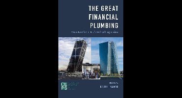 The Great Financial Plumbing