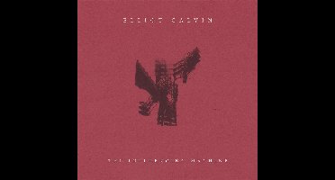 The Influencing Machine