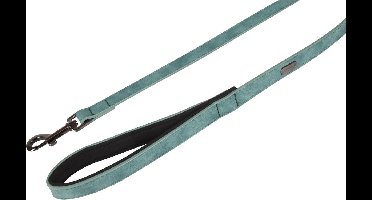 Looplijn delu groen 100 cm 20 mm Flamingo