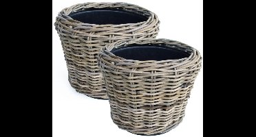Van der Leeden Planten/bloemen mand - 2x - rotan - gevlochten riet - D27 x H20 cm - drypot - plantenpot - plantenmand - nestbaar