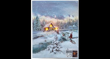 LED CANVAS 38X48CM / MEISJE MET SLEE 3LED EN 42 FIBER / 2AA Anna's Collection