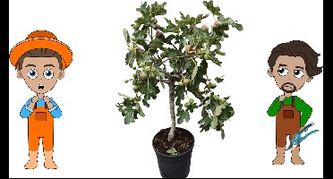 Interline - test - interieur