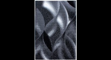 Plus Vloerkleed – Zwart – Golvend 3D Design – Laagpolig – 200x290 cm