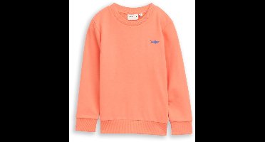 Tom Tailor Basic sweatshirt met print